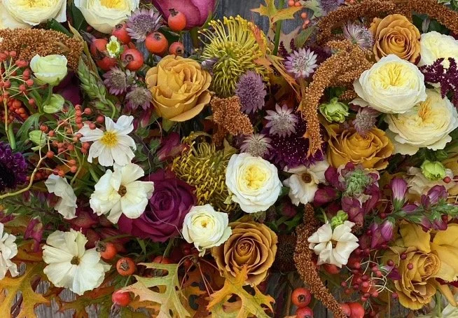 Screenshot 2023-10-05 at 11.14.49 AM.jpeg