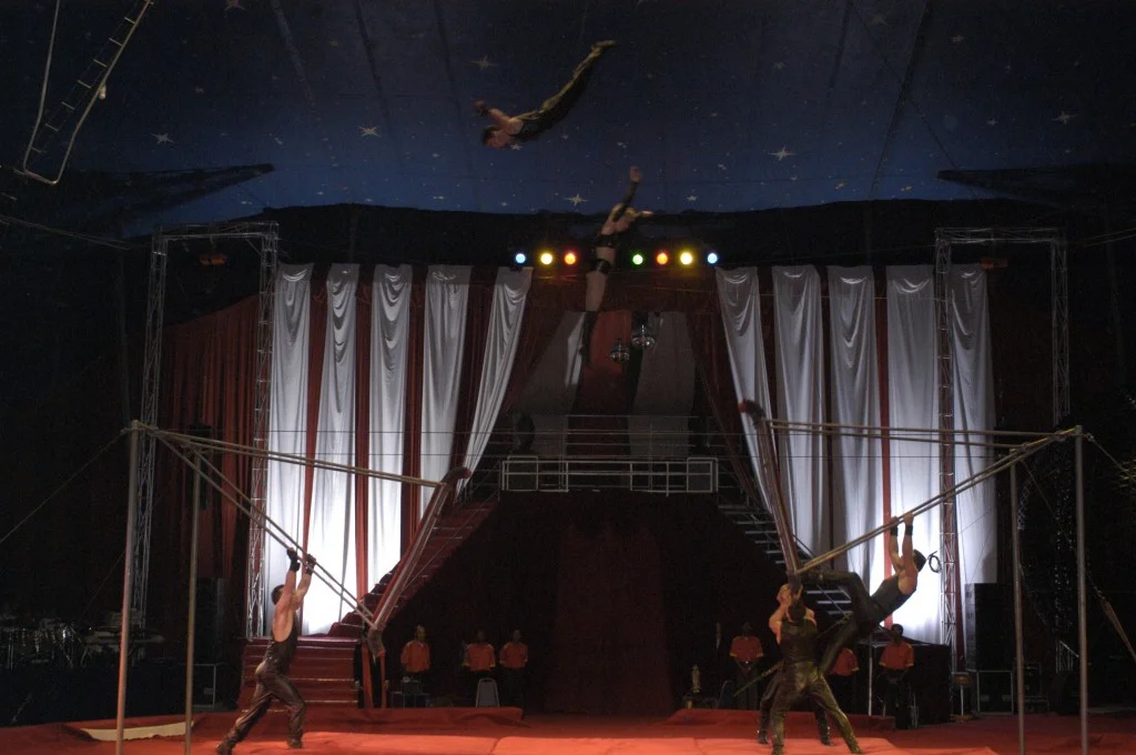 Acrobatics-swing-1024x680.jpg
