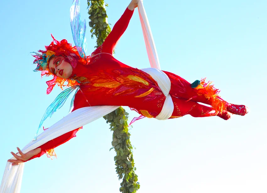 Aerial-Fairy.jpg
