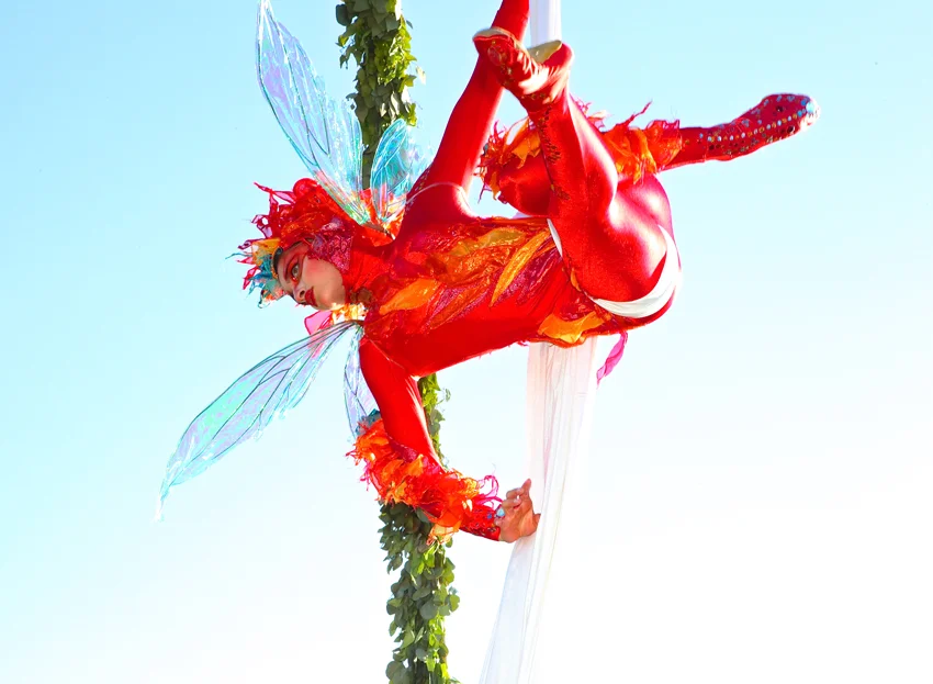 Aerial-Fairy1.jpg