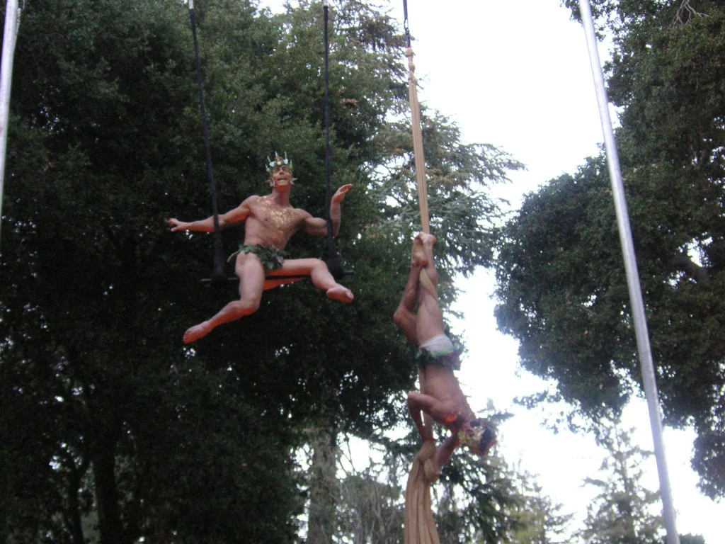Aerial-Fauns3-1024x768.jpg