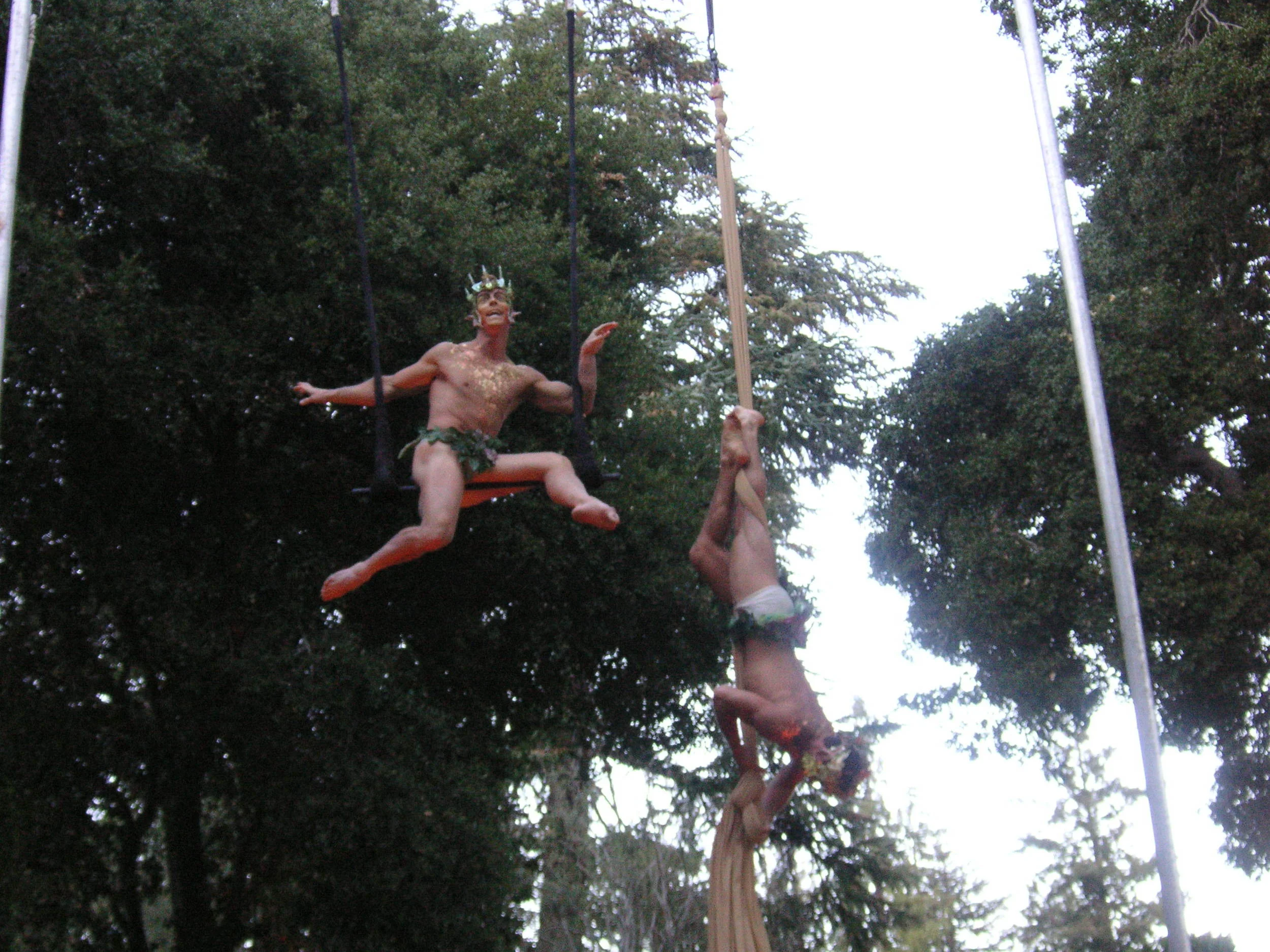 Aerial-Fauns3.jpg