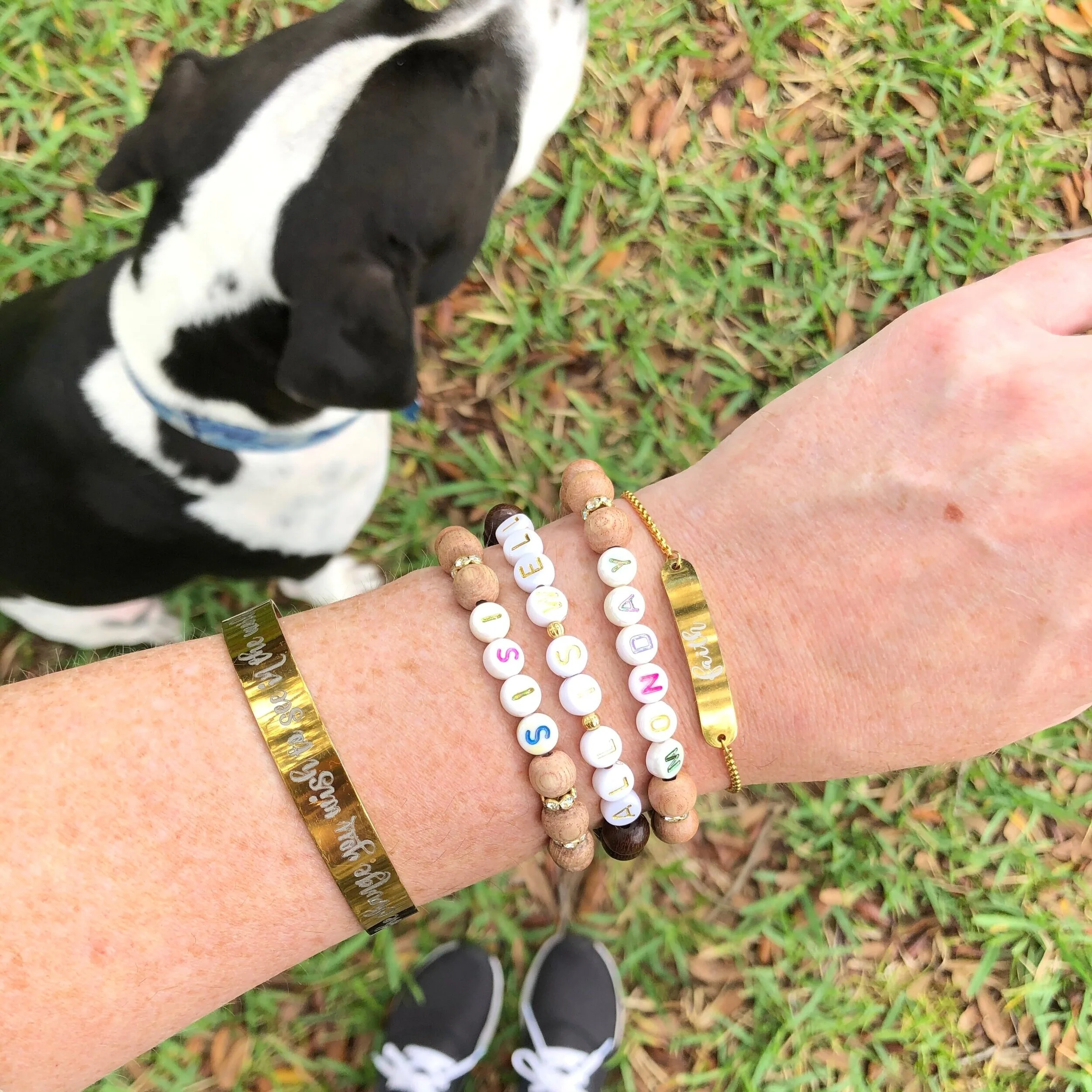 336513EF-45E3-4593-94F3-0EBEEC05EE3B