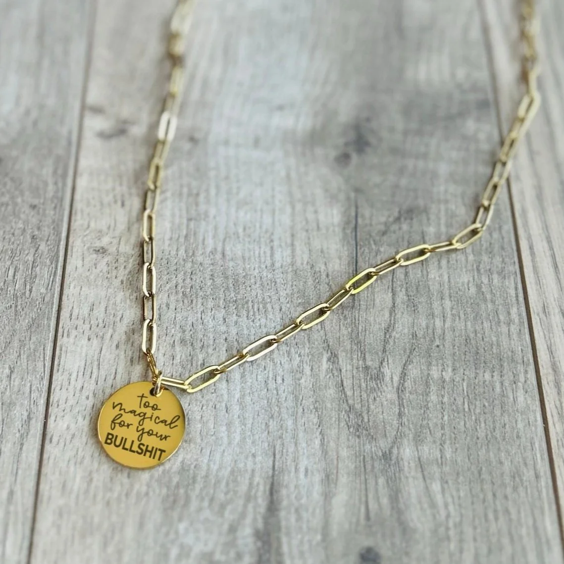 SUPER Sassy Paperclip Necklace