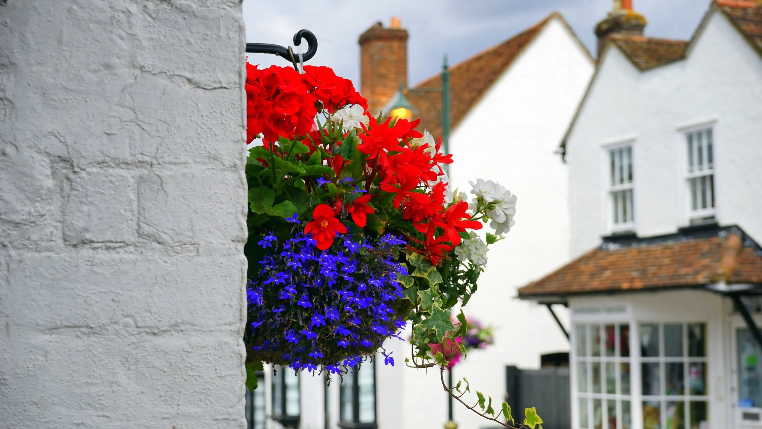 architecture-beautiful-bloom-130851.jpg
