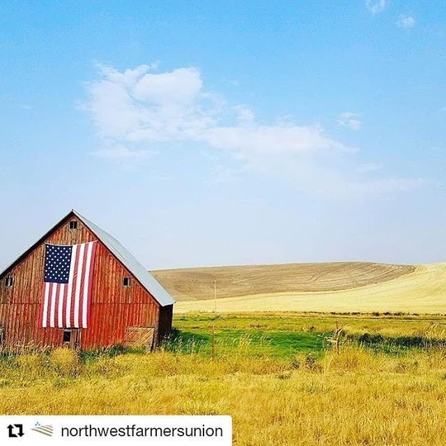 #Repost @northwestfarmersunion
・・・
To all who have served this country, thank you for your dedication and sacrifice. 
To anyone thinking about how to support veteran farmers, consider contributing today to organizations like @farmerveterancoalition @