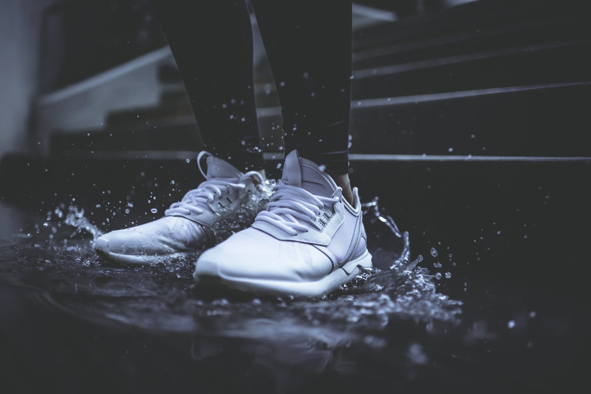 Photo by Dominik Martin on Unsplash