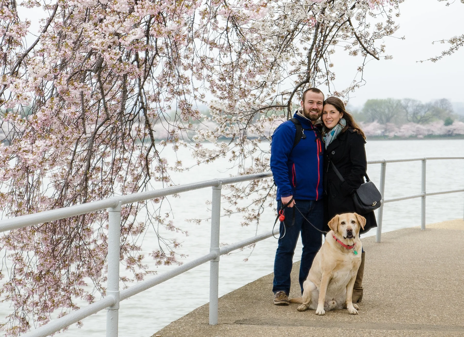 Welcome to the LewLew Photo Blog! 