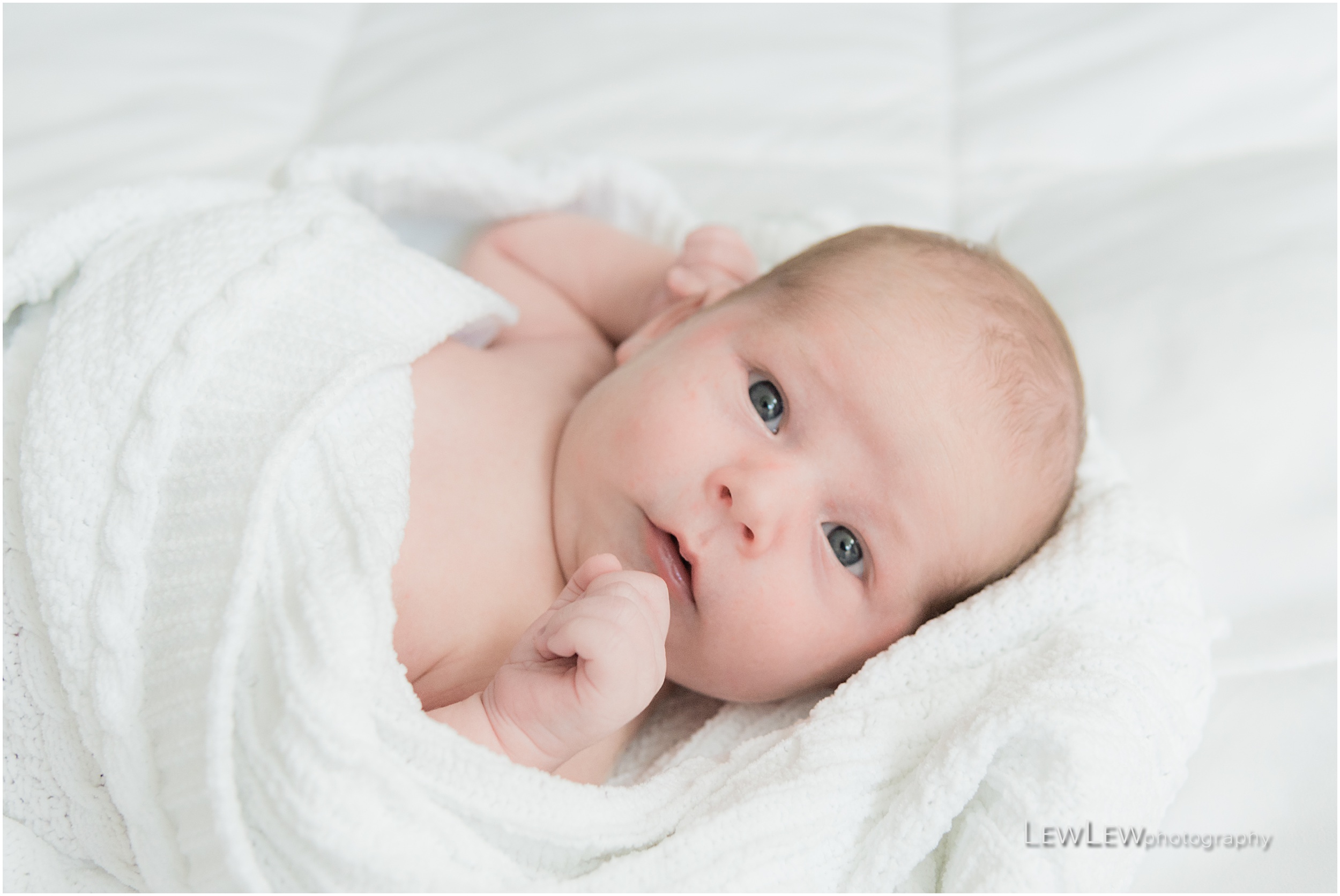 Seattle Newborn Photography 