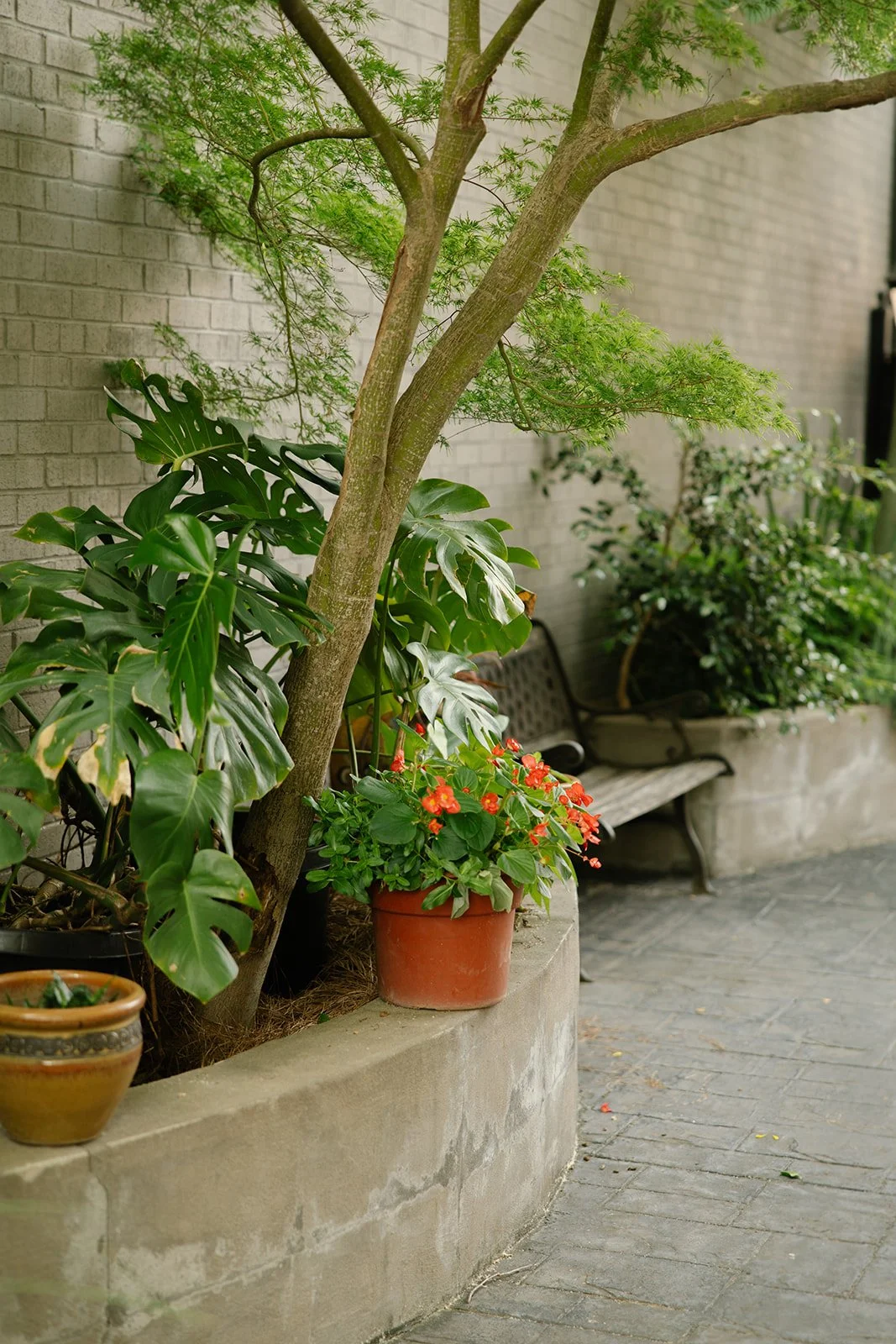 0F7A0840.jpg