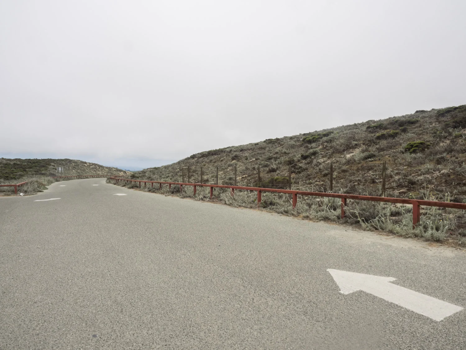 SamStephens_PCH-19.jpg