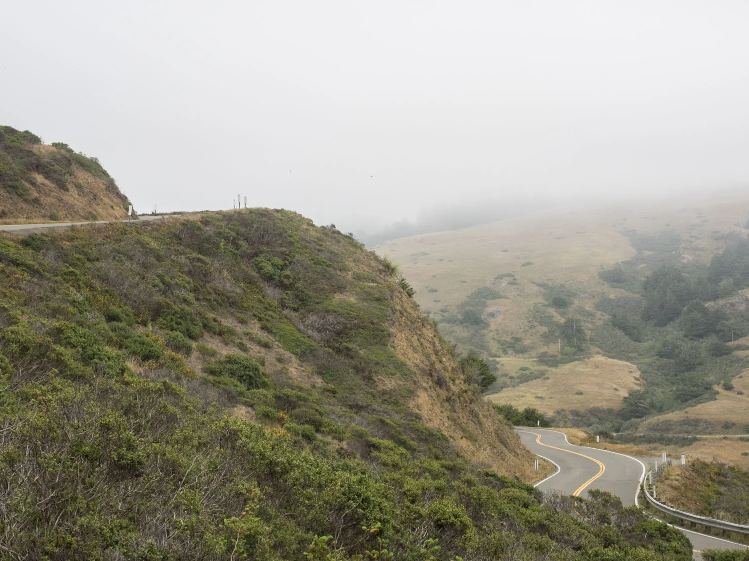 SamStephens_PCH-29.jpg