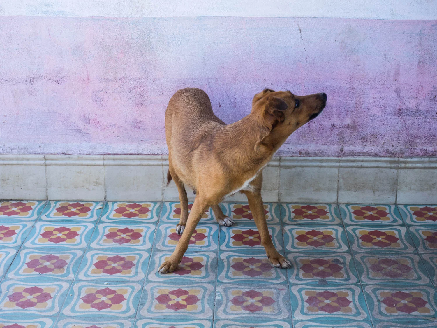 SamStephens_Cuba-26.jpg