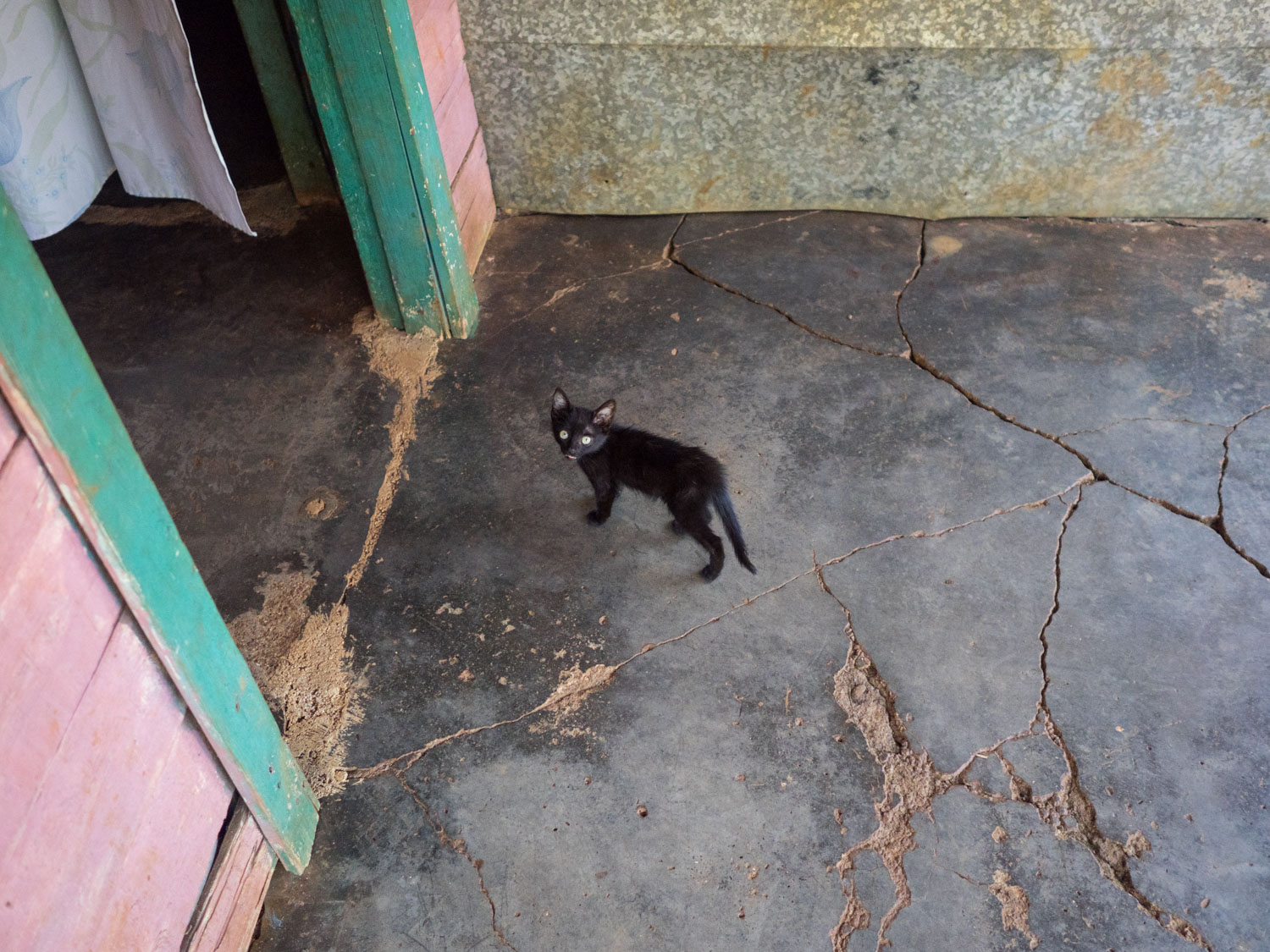 SamStephens_Cuba-34.jpg
