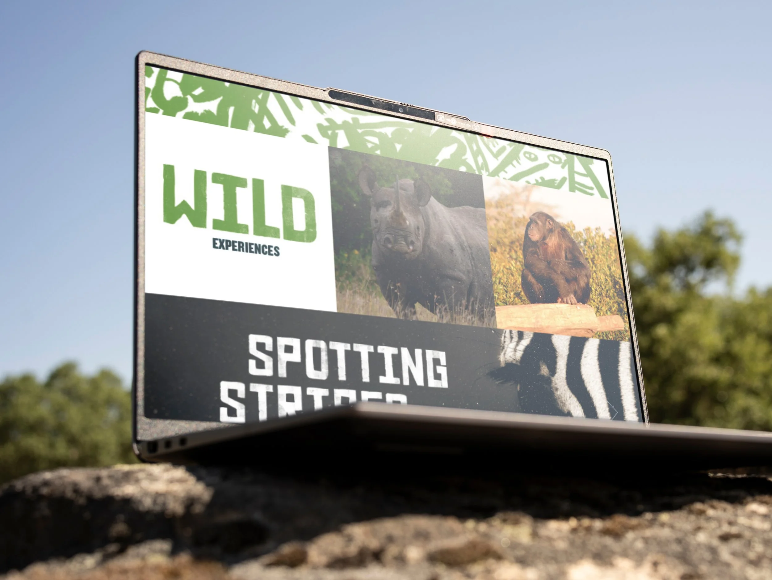 SamStephensLtd_Ol-Pejeta_Website.jpg