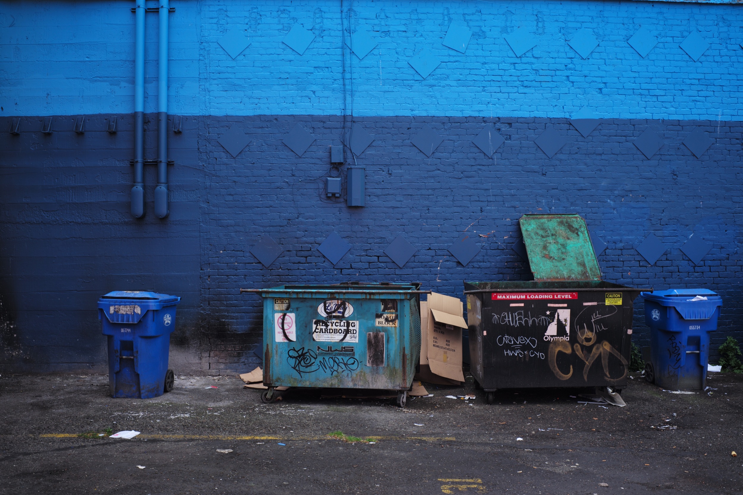 Blue on Blue, Olympia, WA 2016