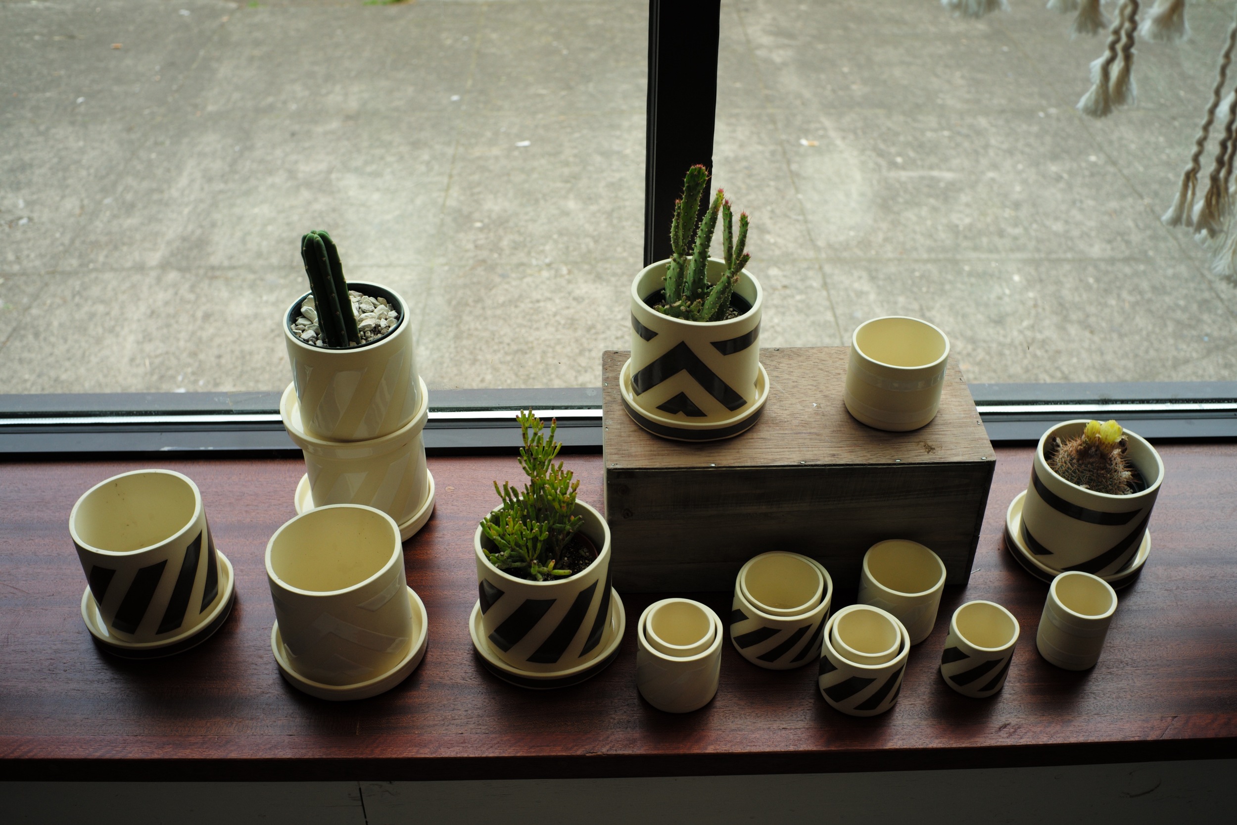 Cups and Cacti, Portland, OR 2016