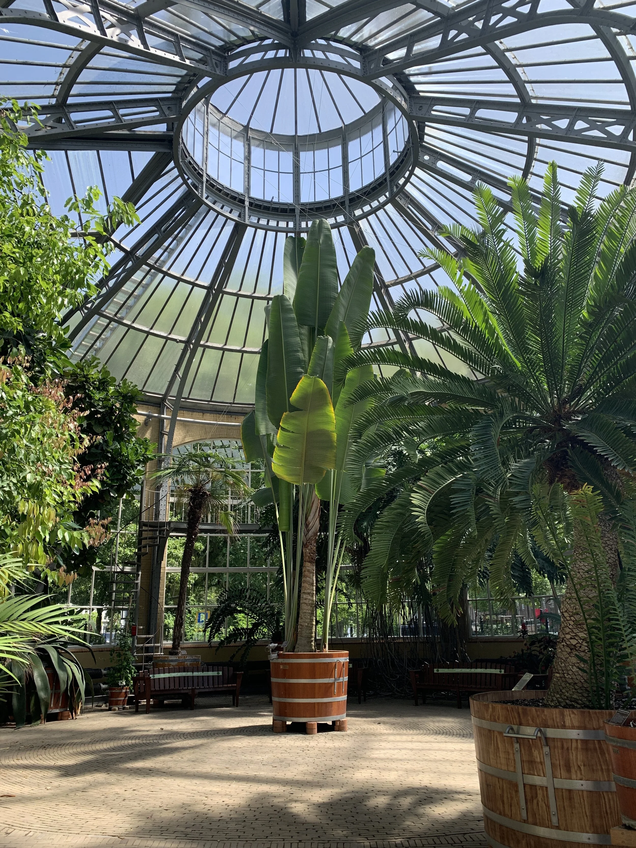 Hortus Botanicus