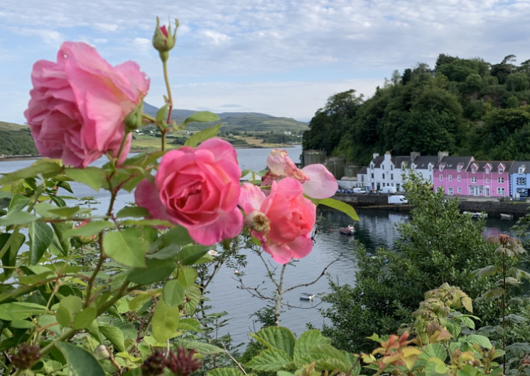 Trip to Ireland and Scotland