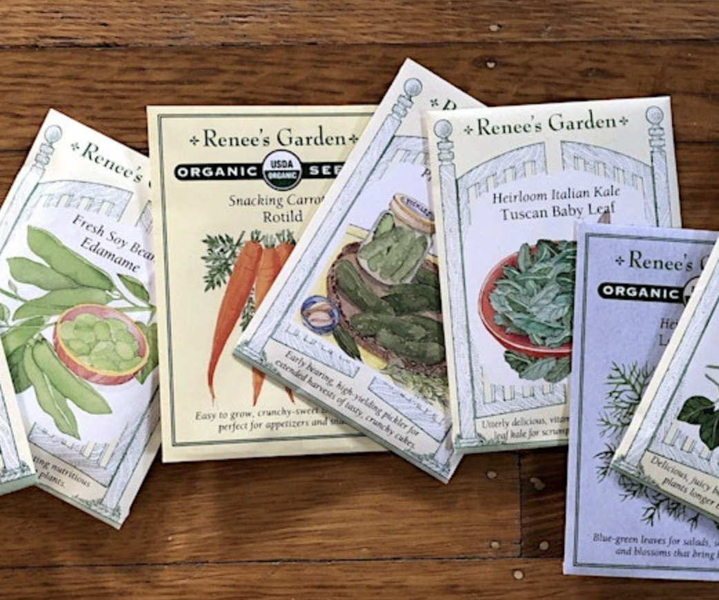 Seed Swap - Annual 2025