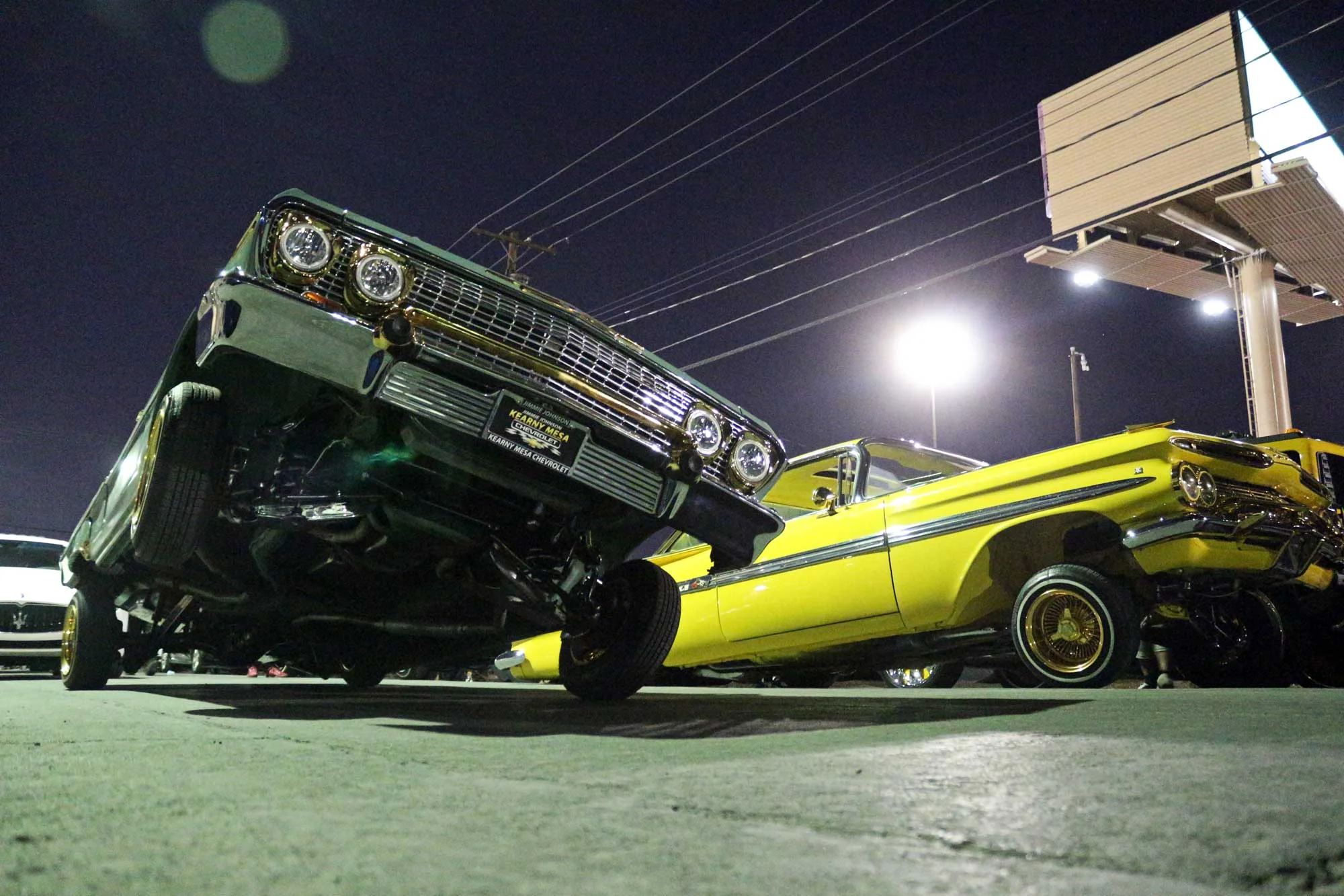 impalas.jpg