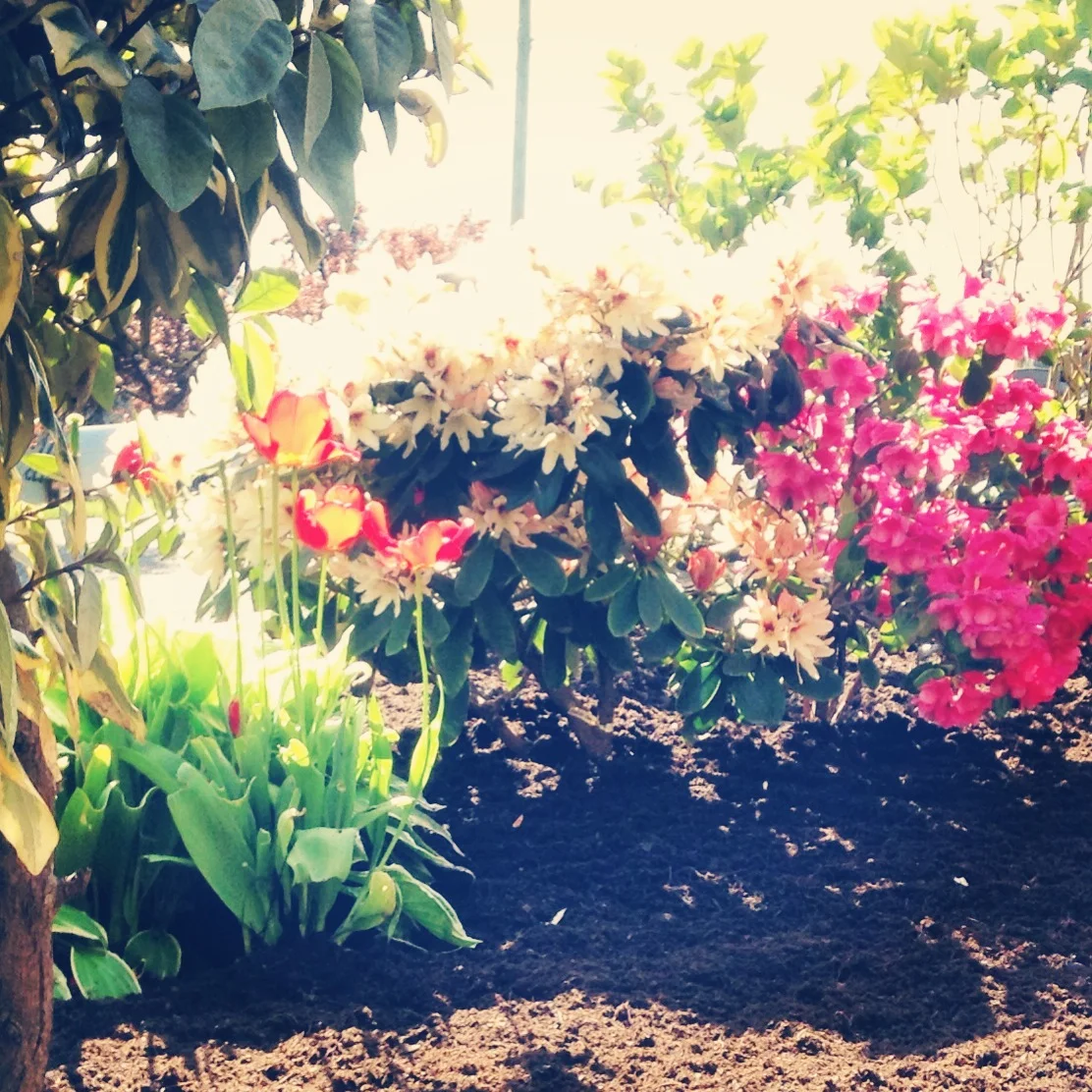 2014-04-28 16.05.07-1.jpg