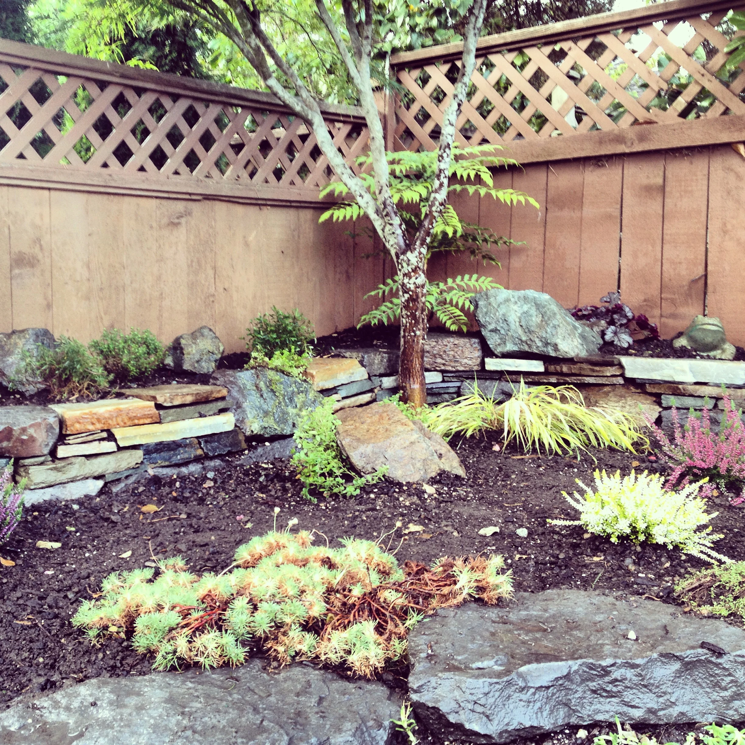 2014-09-22 18.09.57.jpg