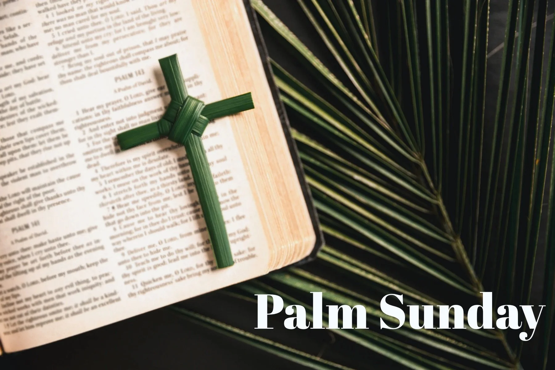 Palm Sunday 