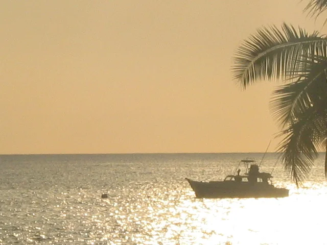 Kona silhouette