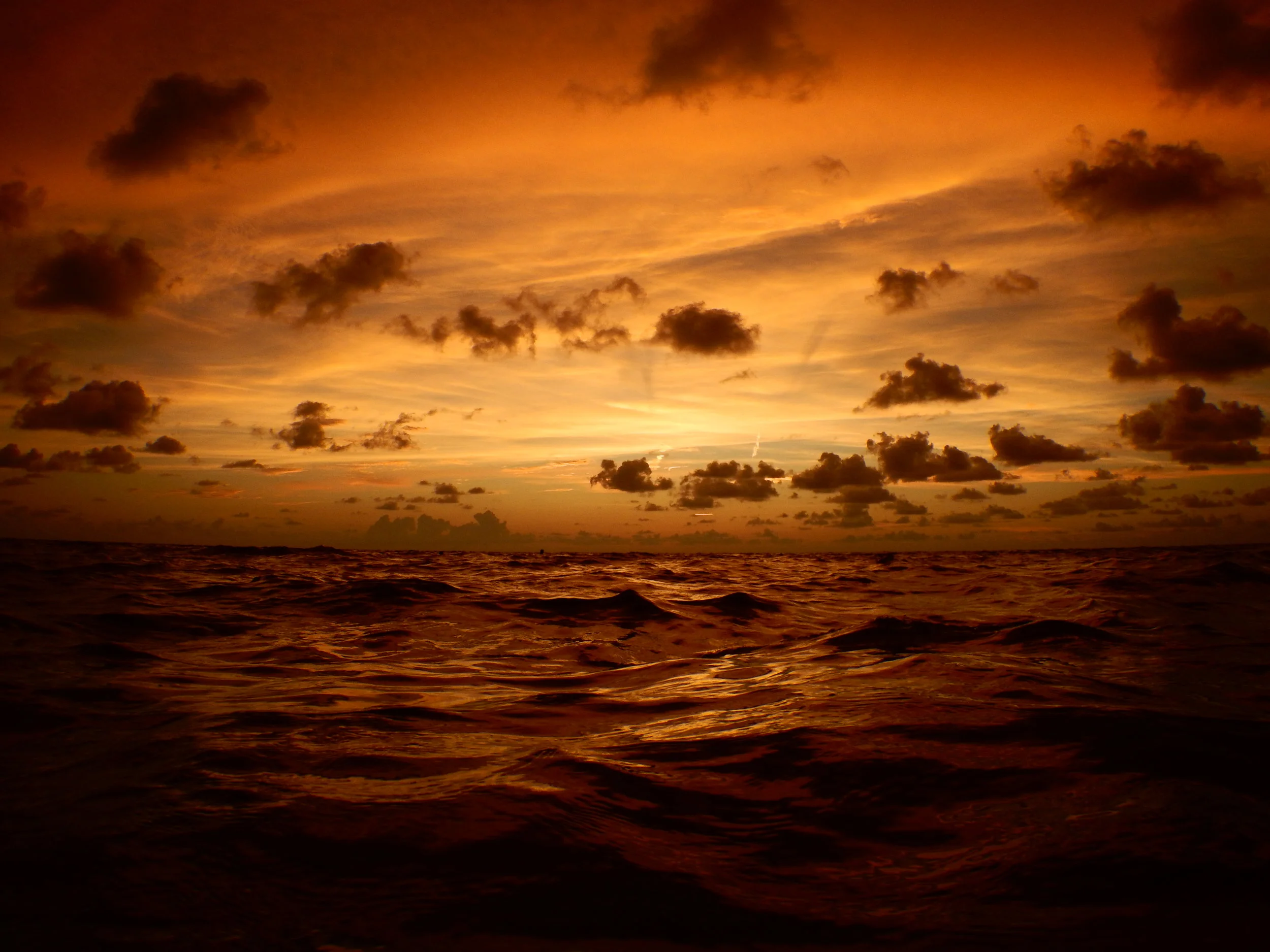 Killer sunset, Naples, Florida