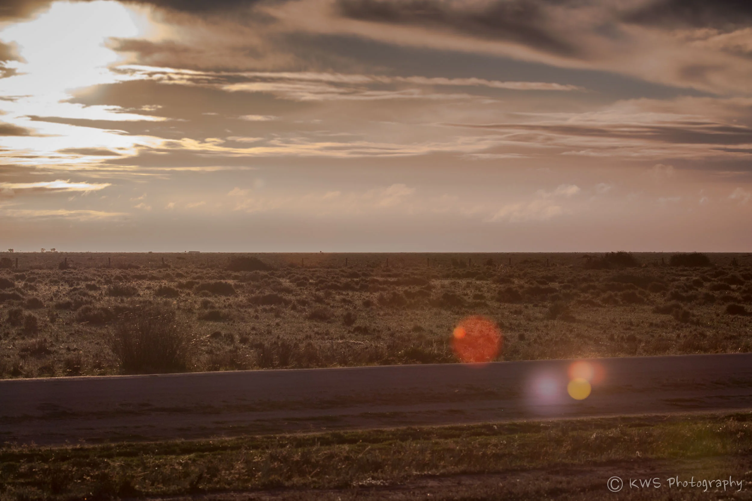 The endless plains of Deniliquin, New South Wales