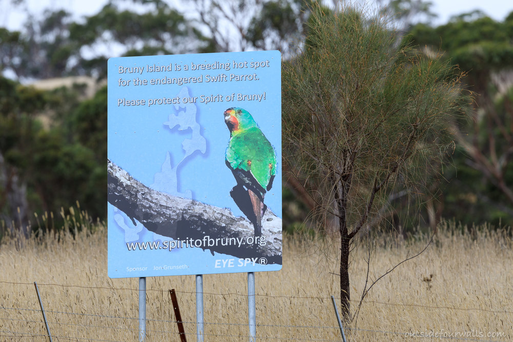 Prime Swift Parrot habitat