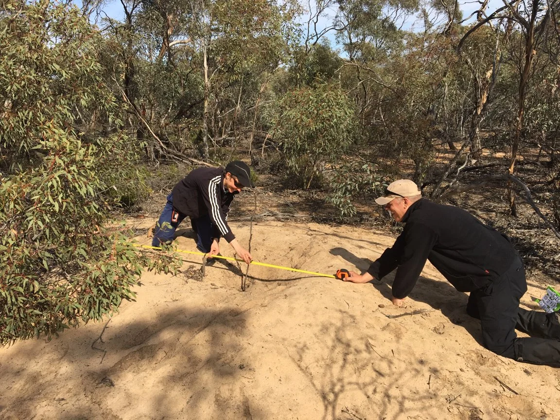 Measuring the depth and rim diameter of the mound. Photo: Tanya Loos.