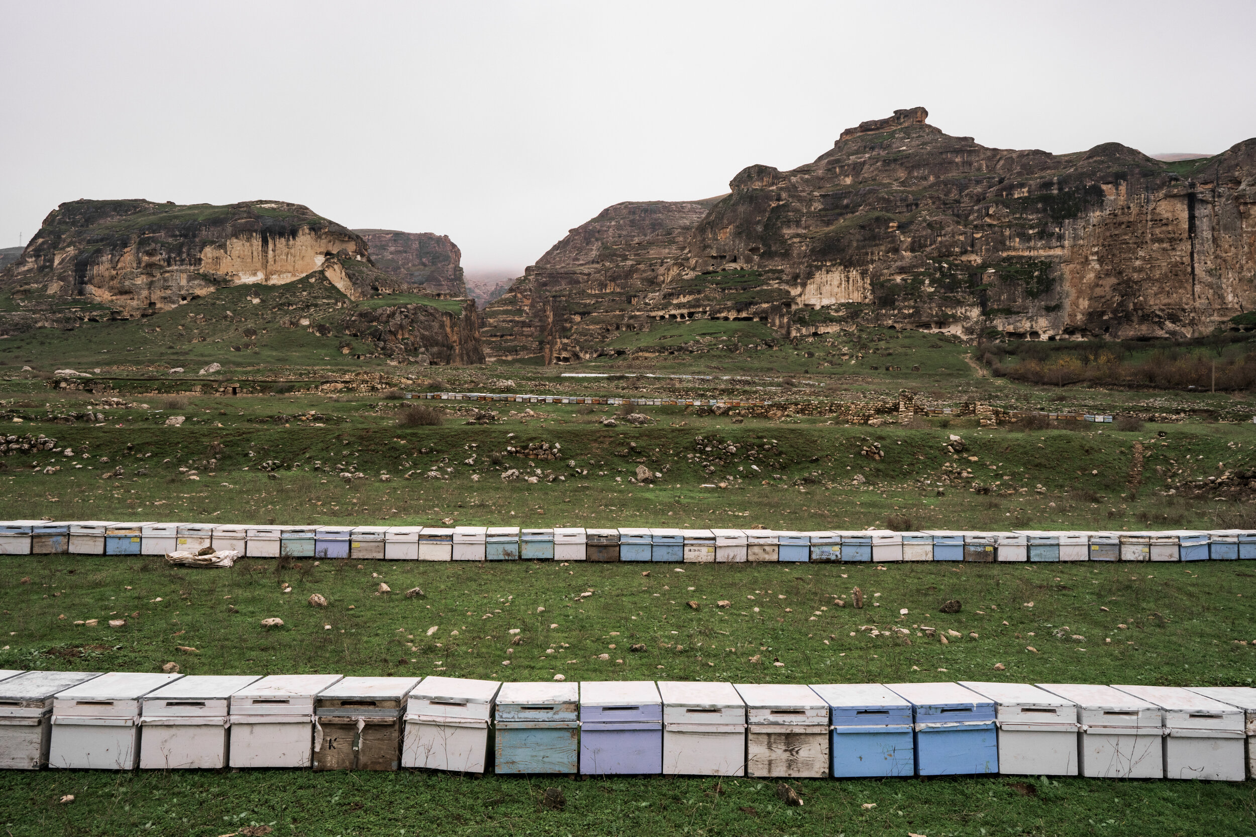 Beehives line the foundations of centuries-old palaces and urban forms in the Sâlihiyye Gardens