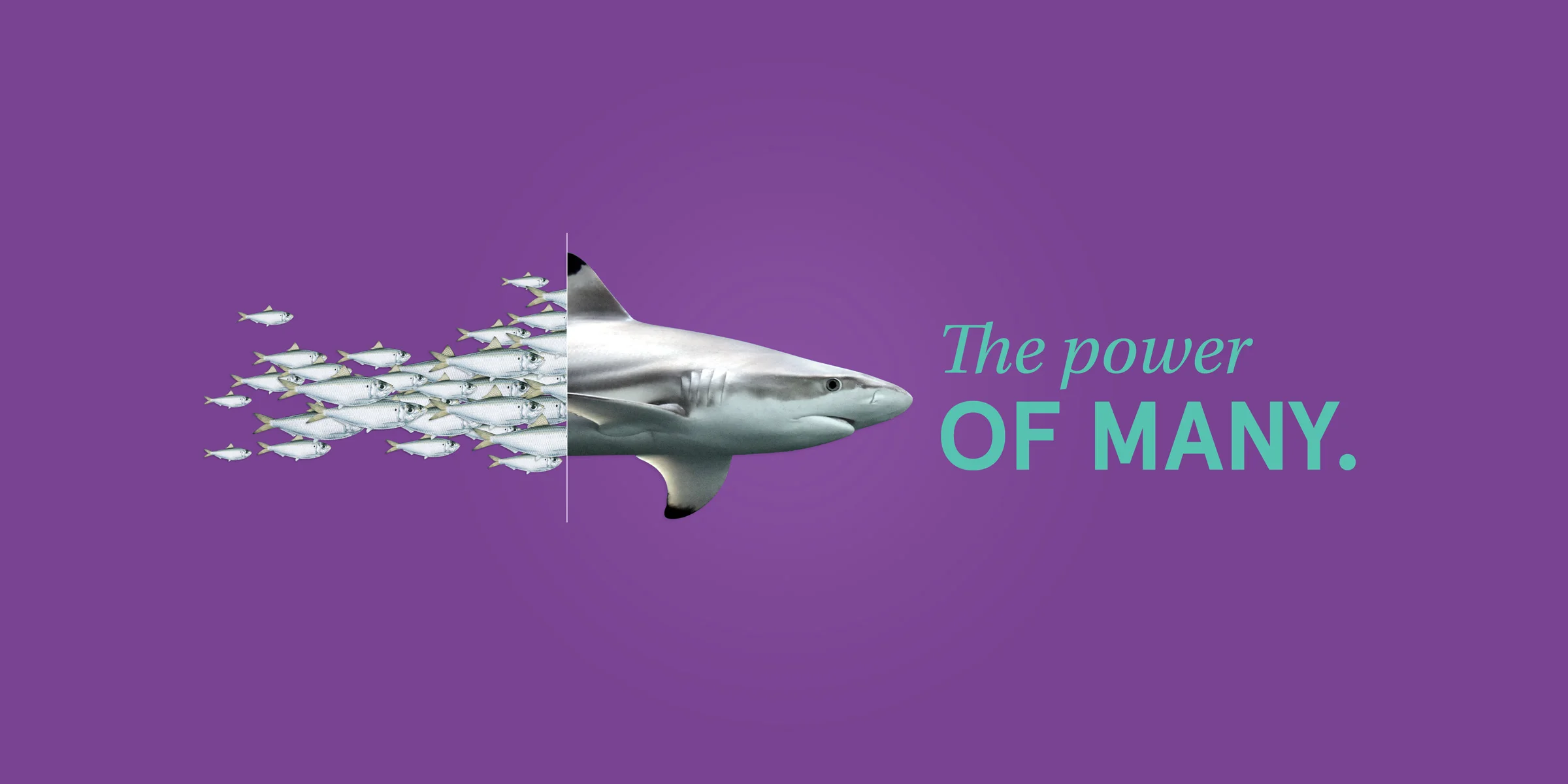 The power of many