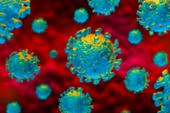 COVID-19: Return to Sport Guidelines