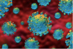 COVID-19: June 29th Executive Order &amp; Its' Impact 