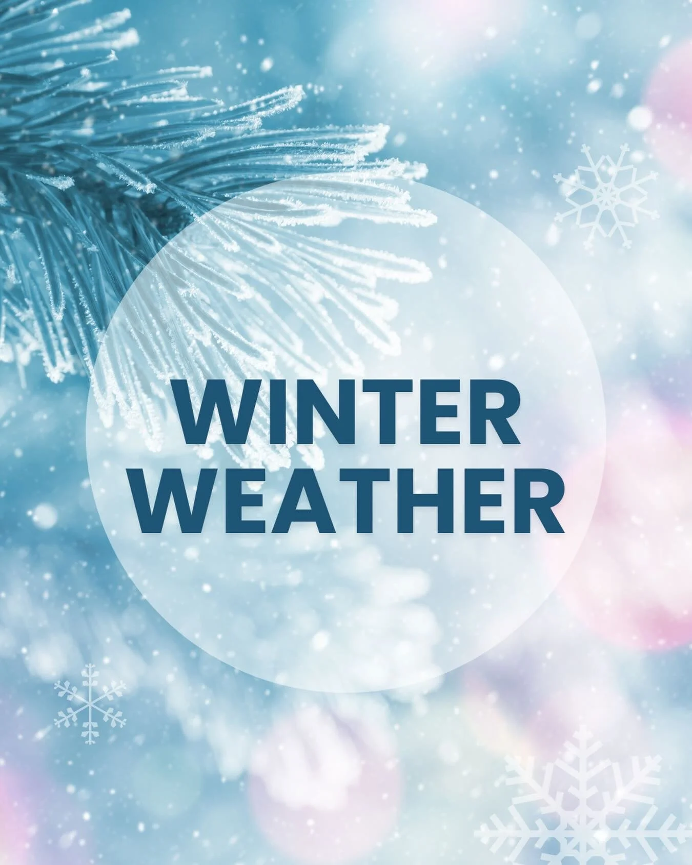 Winter Weather Check-In! 

Winter Weather has affected much of our state this weekend! We want to hear from you! Show us your fun in the snow or how you are staying warm and cozy during the winter storm! 

Stay safe!! ❄️☃️

#TATS #winterstorm #athlet