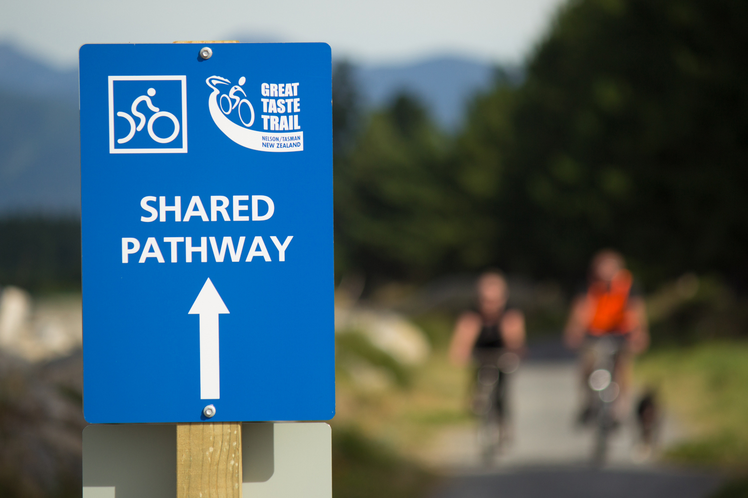 Tasman Great Taste Cycle Trail - kilometres of safe cycling