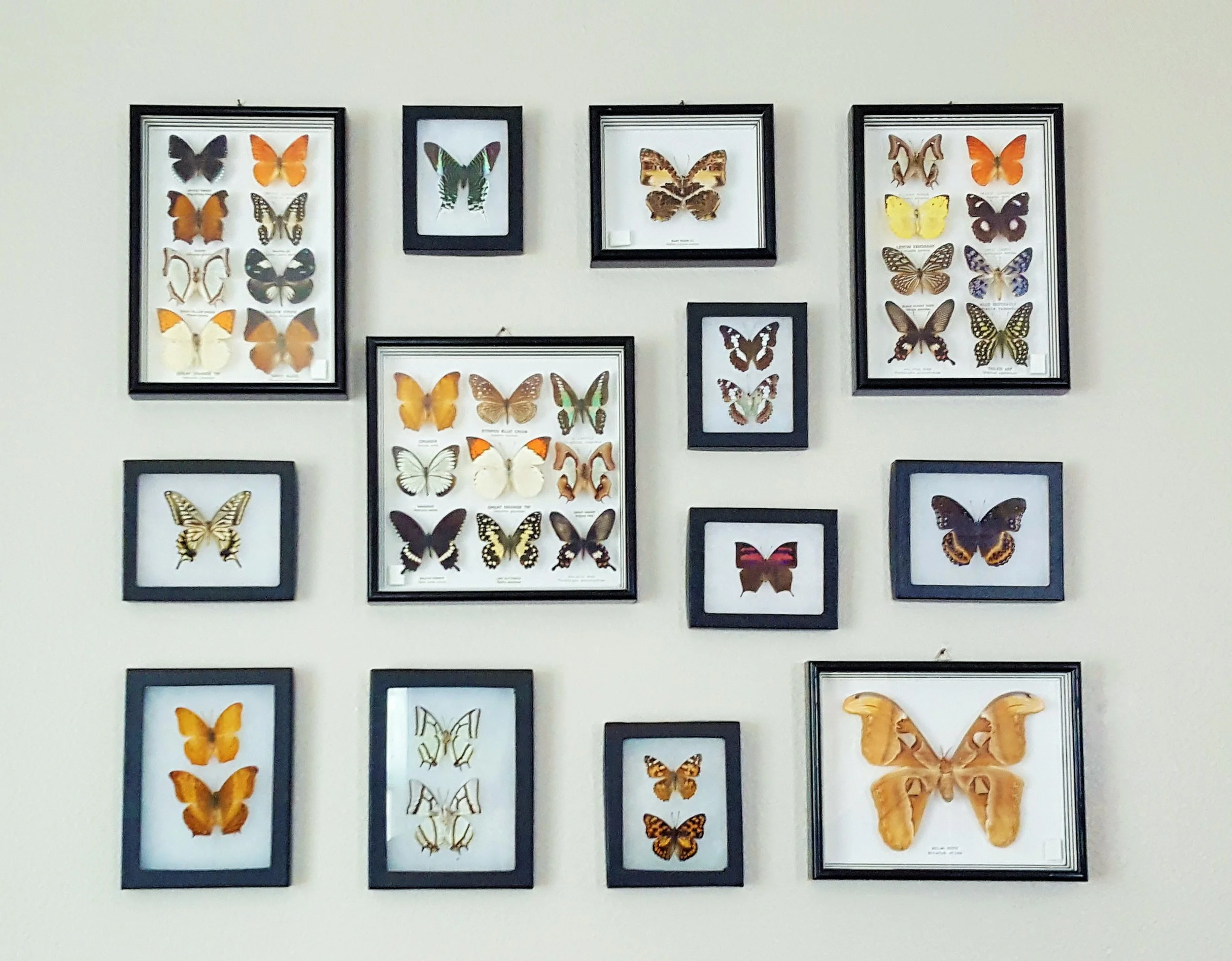 5 Tips for Hanging a Gallery Wall