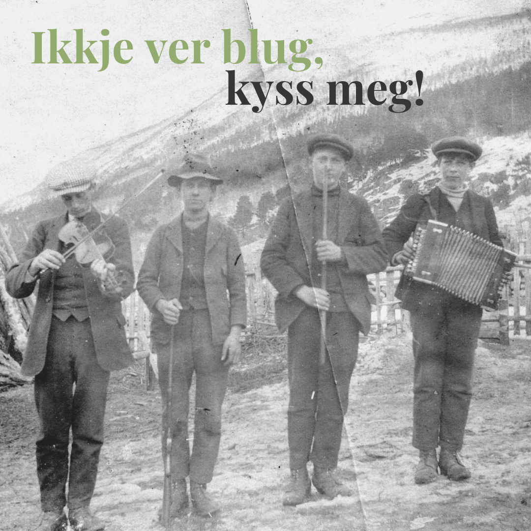 ikkjeverblug.png