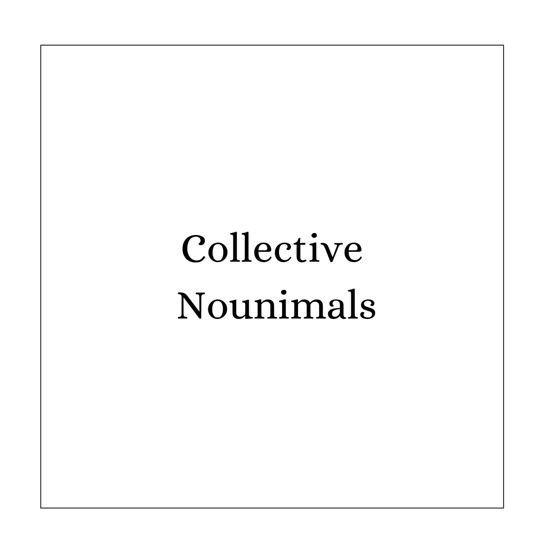 Collective Nounimals.png