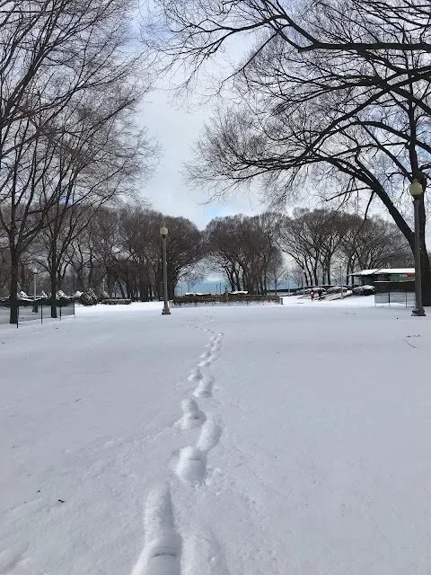 snow3.webp