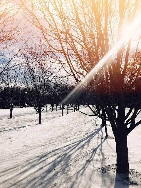 snow4.webp