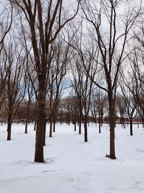 snow2.webp