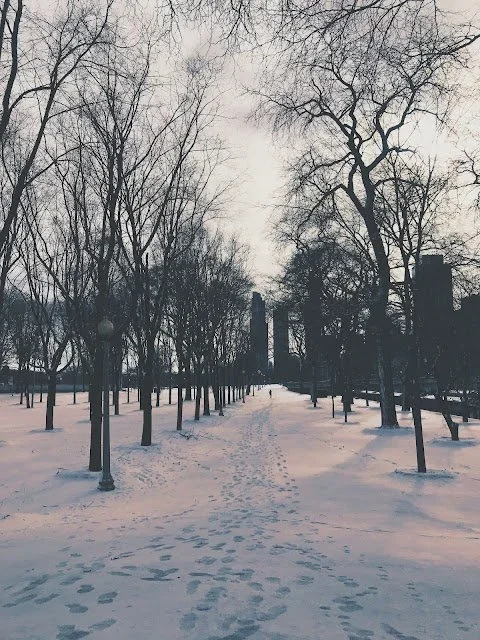snow1.webp