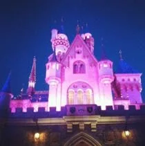 IMG_5907.jpg