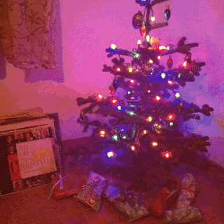 IMG_2734.gif