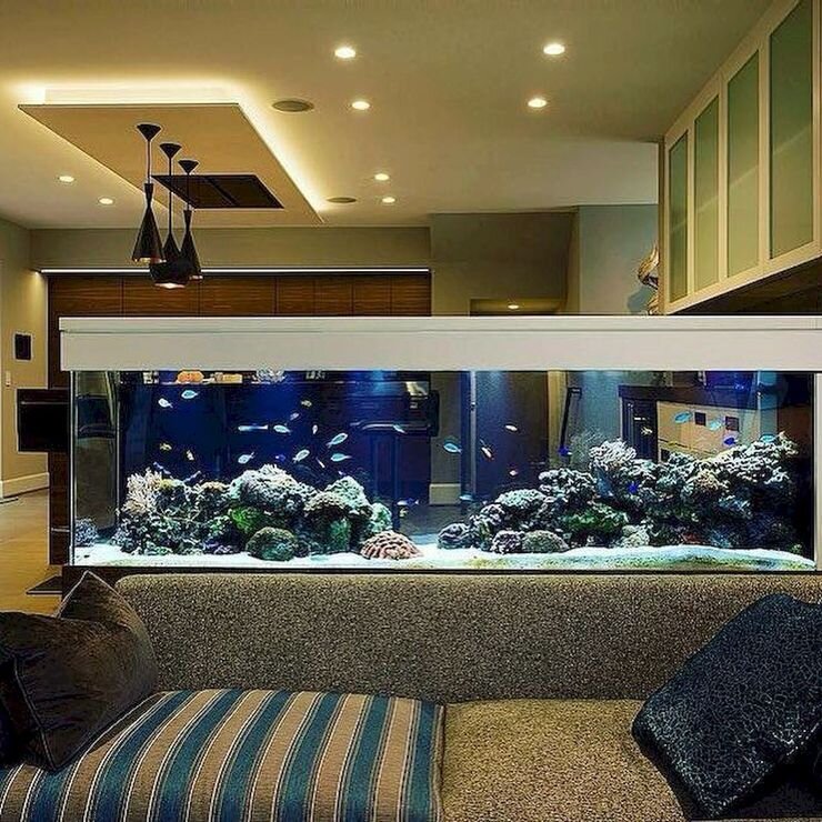 Aquarium Ideas For Living Room