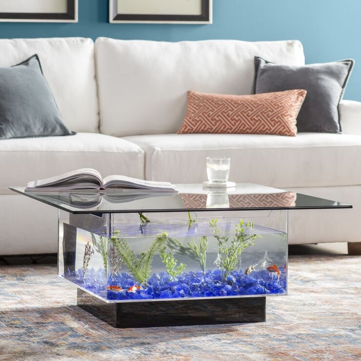 Are you an Aquarist? Here Are Some Aquarium Ideas for Living Room To  Incorporate In Your Home Design! — Hipcouch